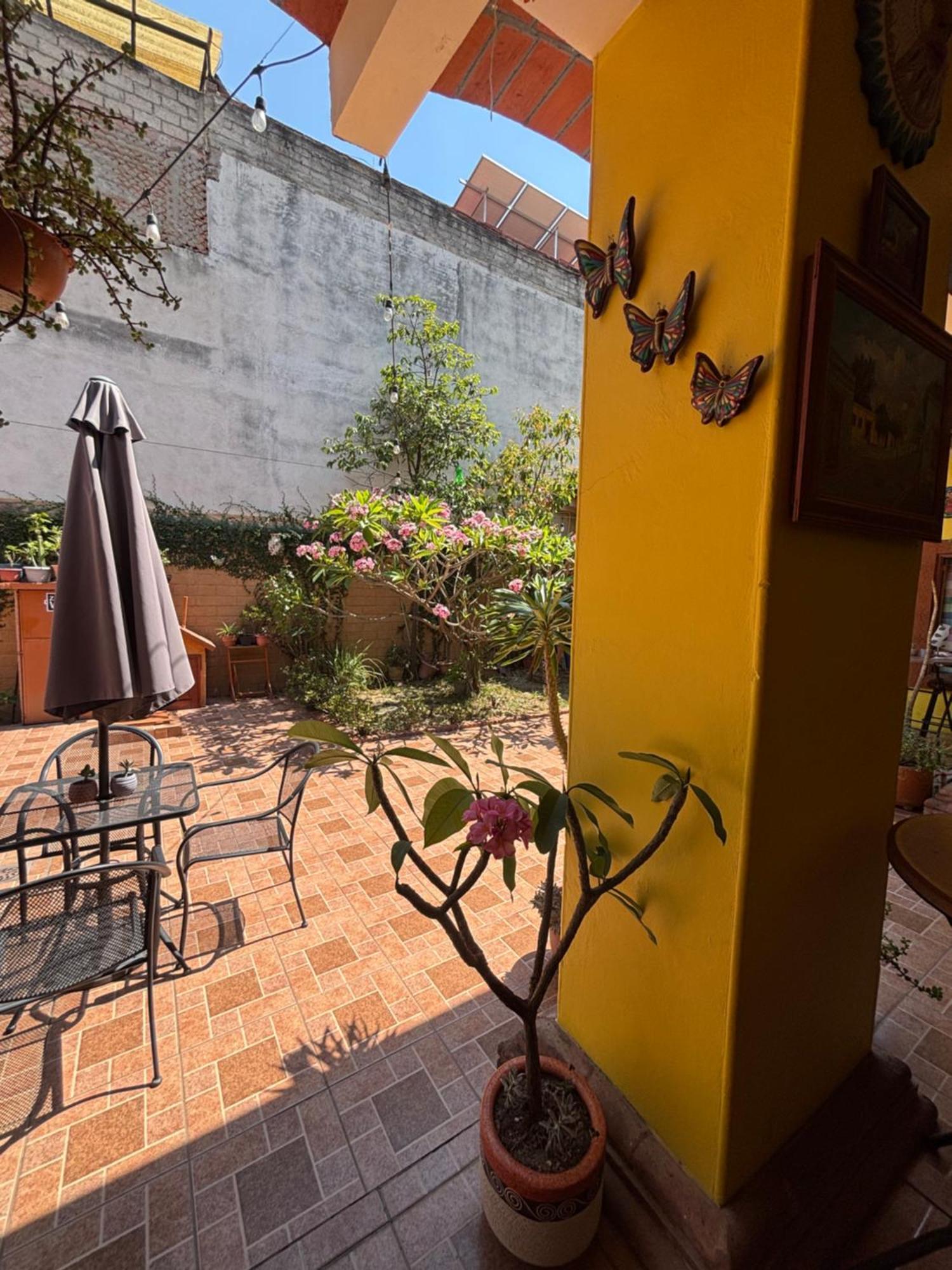 Hotel Posada Mi Rosita Oaxaca Exterior foto